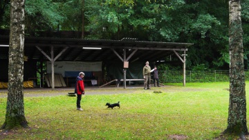 DTK Gruppe Kurpfalz, Ihr Club für alle Dackel in Kaiserslautern und der Vorderpfalz
