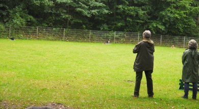 DTK Gruppe Kurpfalz, Ihr Club für alle Dackel in Kaiserslautern und der Vorderpfalz