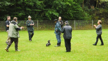 DTK Gruppe Kurpfalz, Ihr Club für alle Dackel in Kaiserslautern und der Vorderpfalz