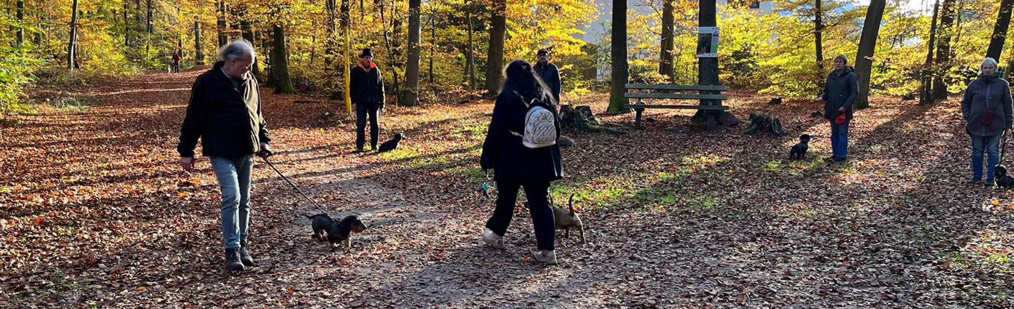 DTK Gruppe Kurpfalz, Ihr Club für alle Dackel in Kaiserslautern und der Vorderpfalz