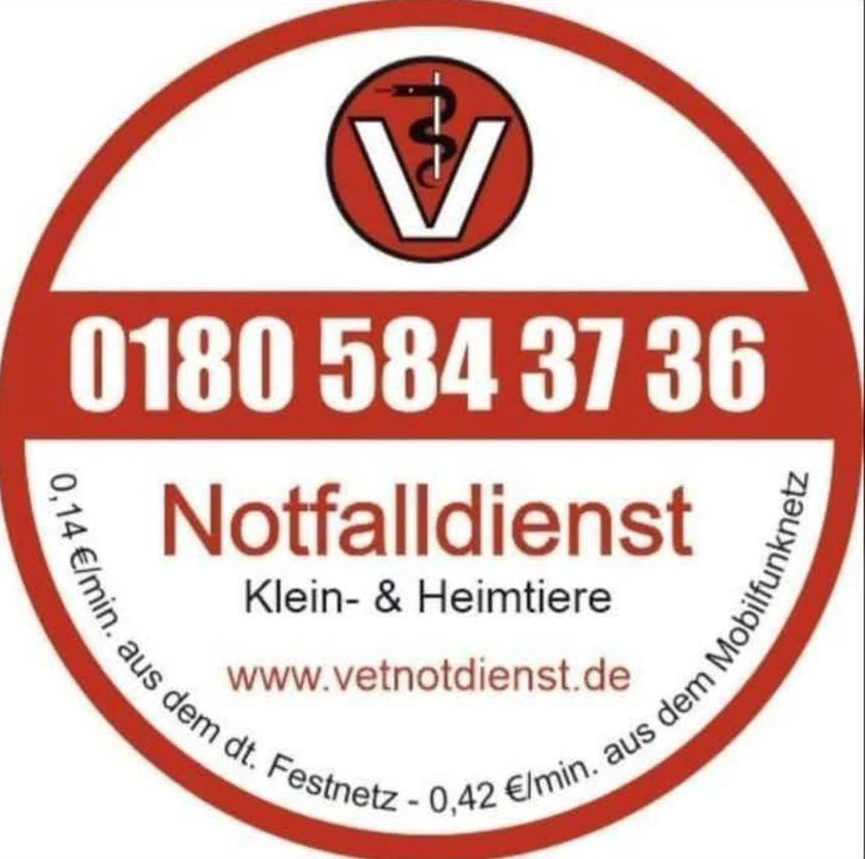 DTK Gruppe Kurpfalz, Ihr Club für alle Dackel in Kaiserslautern und der Vorderpfalz