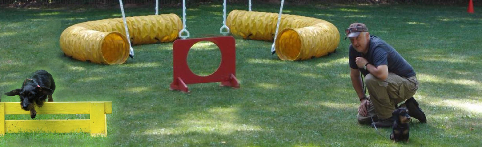 DTK Gruppe Kurpfalz, Ihr Club für alle Dackel in Kaiserslautern und der Vorderpfalz