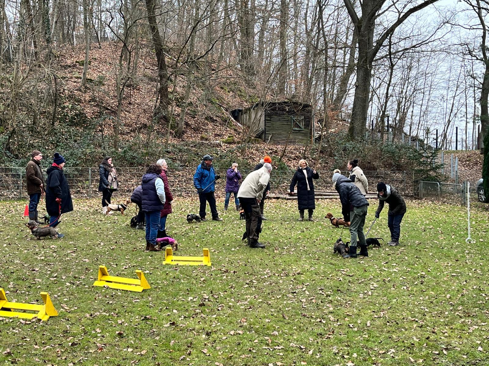 487094498_1089427106563086_8288422403009403377_n DTK Gruppe Kurpfalz, Ihr Club für alle Dackel in Kaiserslautern und der Vorderpfalz