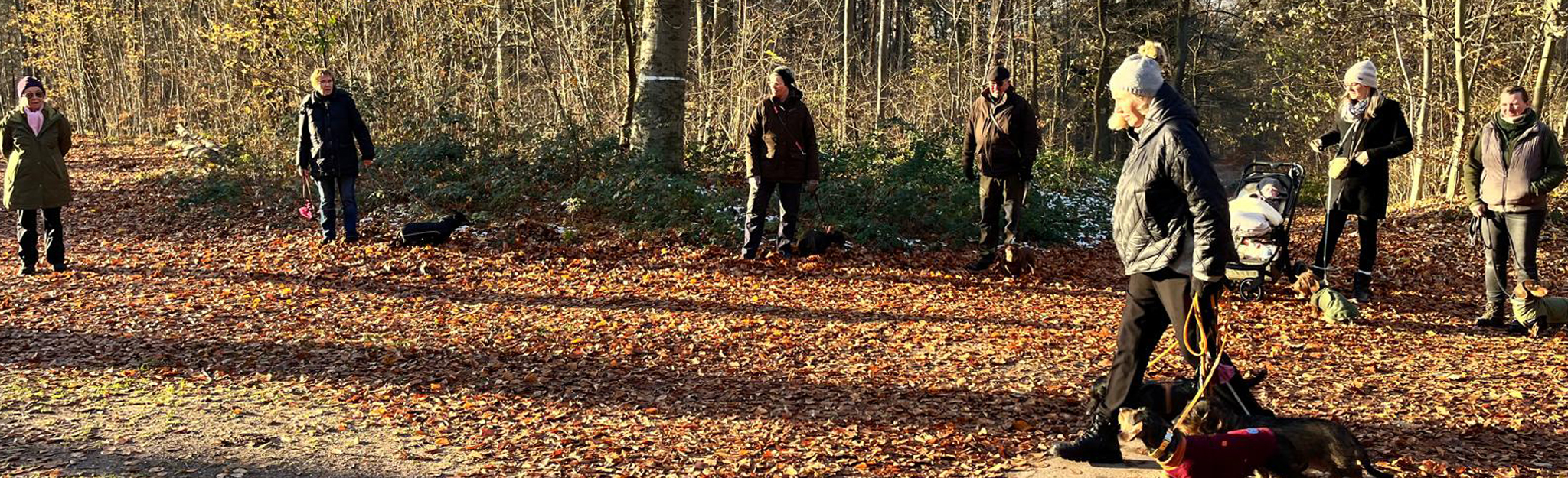 DTK Gruppe Kurpfalz, Ihr Club für alle Dackel in Kaiserslautern und der Vorderpfalz