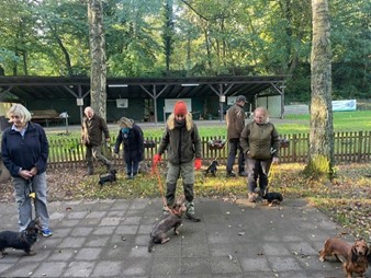 Bild1 DTK Gruppe Kurpfalz, Ihr Club für alle Dackel in Kaiserslautern und der Vorderpfalz